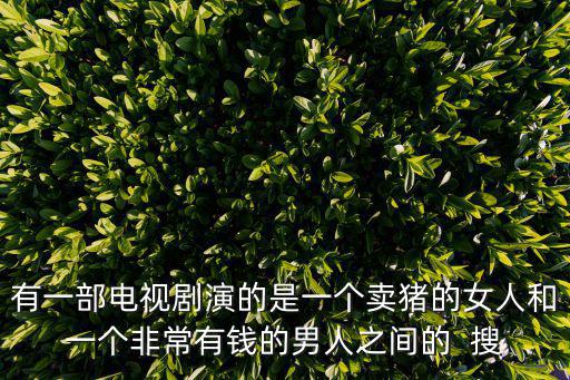 上流俗女，付辛博是要和安以軒一起主演一部電視劇叫上流俗女嗎