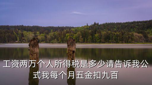 工資兩萬個人所得稅是多少請告訴我公式我每個月五金扣九百