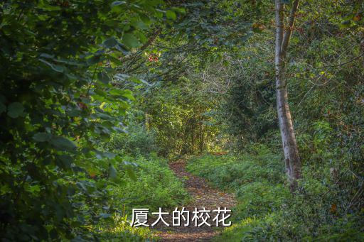 廈大的?；? class=