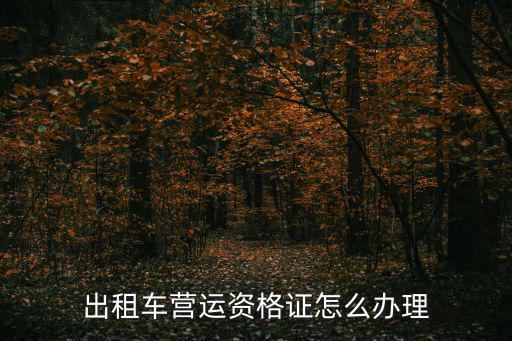 營運資格證，營運資格證是什么東西