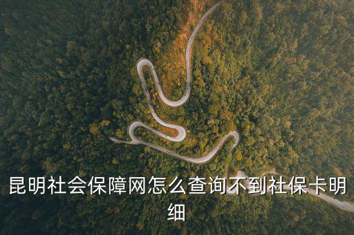 昆明社會(huì)保障網(wǎng)怎么查詢不到社保卡明細(xì)