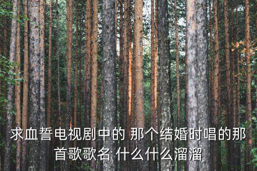 求血誓電視劇中的 那個(gè)結(jié)婚時(shí)唱的那首歌歌名 什么什么溜溜