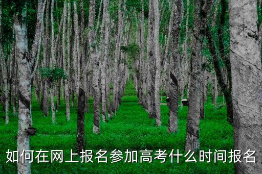 如何在網(wǎng)上報名參加高考什么時間報名