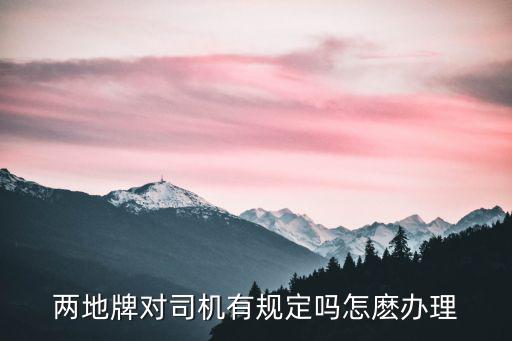 兩地牌對司機有規(guī)定嗎怎麼辦理