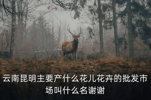 云南昆明主要產什么花兒花卉的批發市場叫什么名謝謝