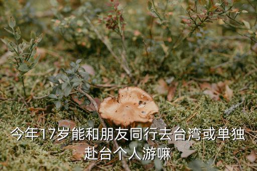 今年17歲能和朋友同行去臺灣或單獨赴臺個人游嘛