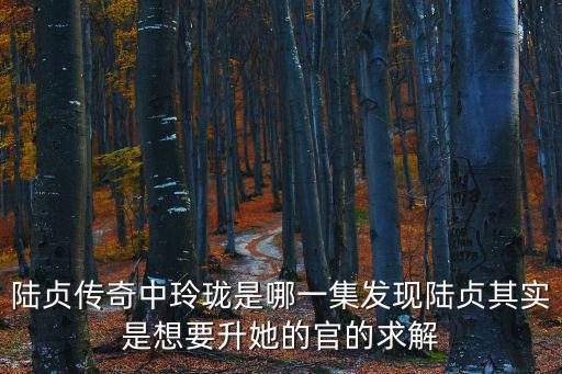 陸貞傳奇玲瓏，陸貞傳奇中玲瓏是哪一集發(fā)現(xiàn)陸貞其實(shí)是想要升她的官的求解