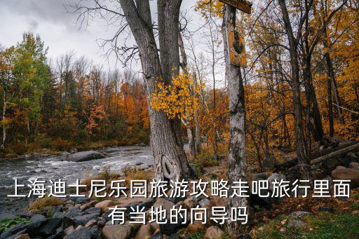 上海迪士尼樂園旅游攻略走吧旅行里面有當地的向導嗎