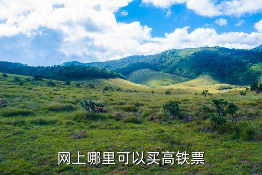 高鐵網上訂票官網，12306網上訂票官網