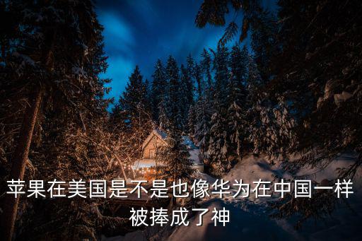 apple美國(guó)，美國(guó)蘋果跟真正的Apple有什么不同