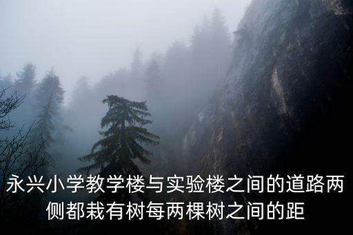 永興小學(xué)，濟(jì)寧永興小區(qū)歸哪個(gè)小學(xué)