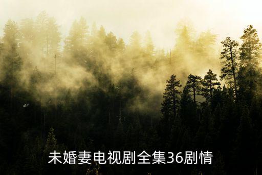 未婚妻電視劇全集36劇情