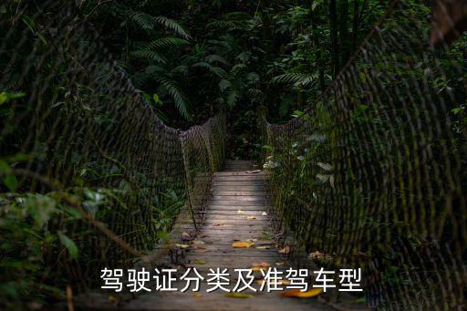 駕駛證分類及準(zhǔn)駕車型