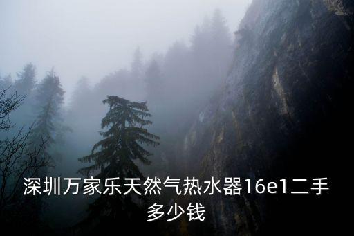 深圳萬家樂天然氣熱水器16e1二手多少錢