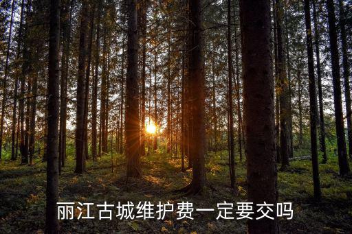 麗江古城維護(hù)費(fèi)一定要交嗎