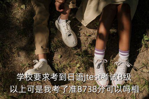 學校要求考到日語jtest考試B級以上可是我考了準B738分可以嗎相