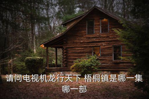 請問電視機龍行天下 梧桐鎮(zhèn)是哪一集哪一部