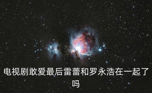 電視劇敢愛(ài)最后雷蕾和羅永浩在一起了嗎