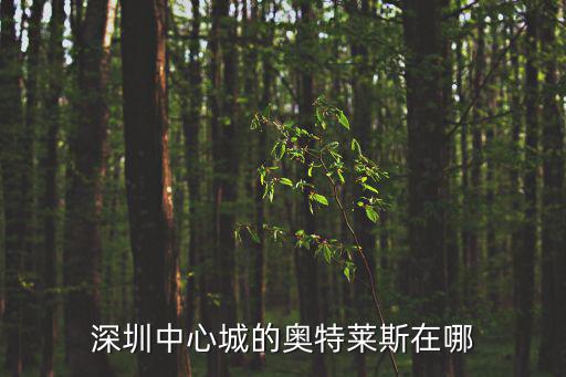 深圳中心城的奧特萊斯在哪