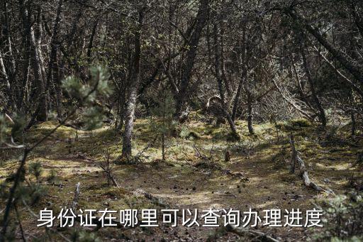 身份證在哪里可以查詢辦理進(jìn)度