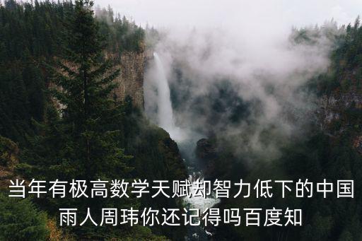 當(dāng)年有極高數(shù)學(xué)天賦卻智力低下的中國雨人周瑋你還記得嗎百度知