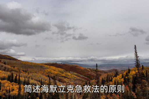 簡述海默立克急救法的原則