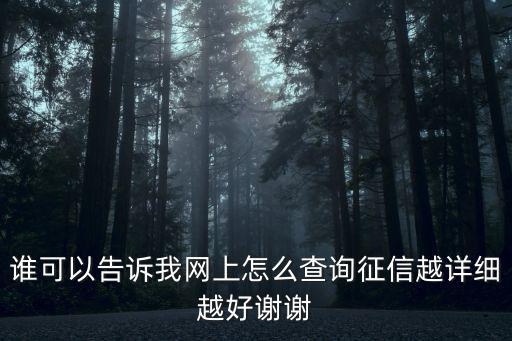 誰可以告訴我網上怎么查詢征信越詳細越好謝謝