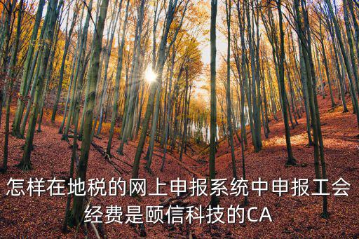 怎樣在地稅的網(wǎng)上申報系統(tǒng)中申報工會經(jīng)費是頤信科技的CA