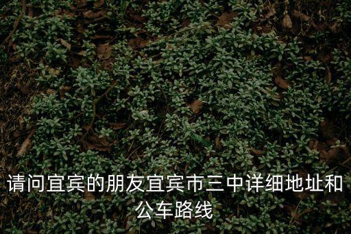 請問宜賓的朋友宜賓市三中詳細(xì)地址和公車路線