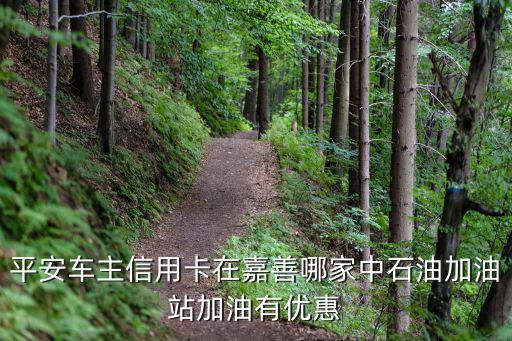 平安車主信用卡在嘉善哪家中石油加油站加油有優惠
