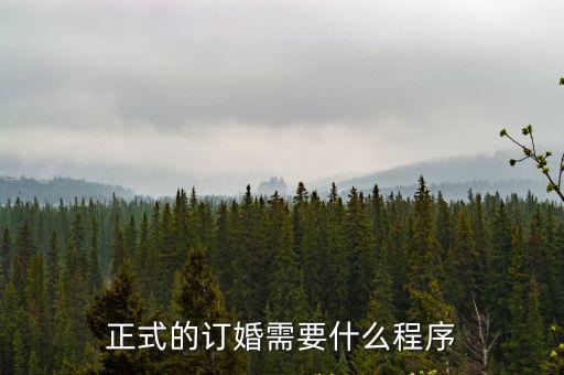 正式的訂婚需要什么程序