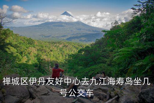 禪城區(qū)伊丹友好中心去九江海壽島坐幾號(hào)公交車