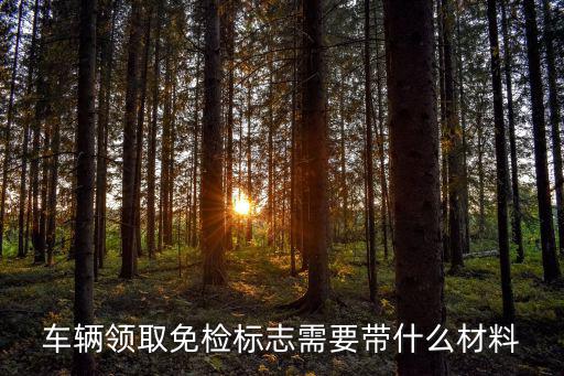車輛領取免檢標志需要帶什么材料