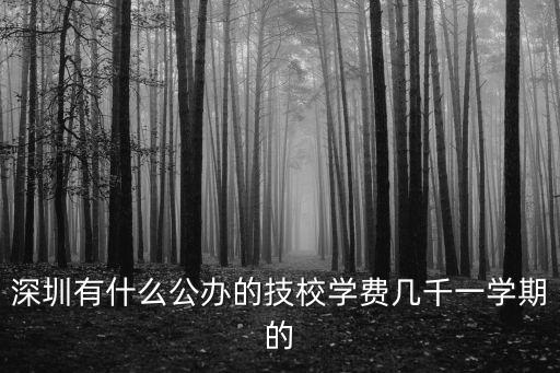 深圳技校，深圳有什么公辦的技校學費幾千一學期的
