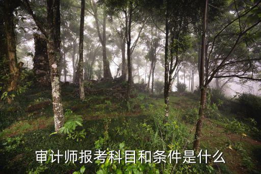 審計師報考科目和條件是什么