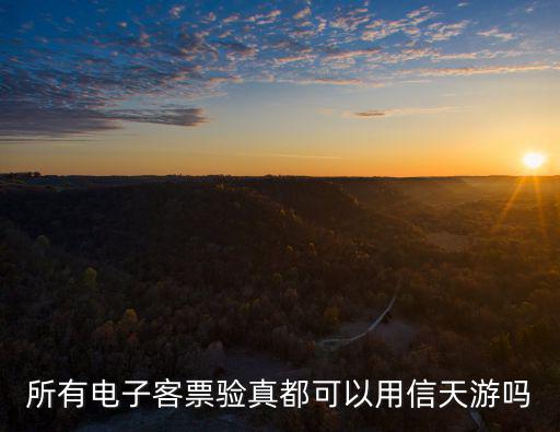 所有電子客票驗(yàn)真都可以用信天游嗎