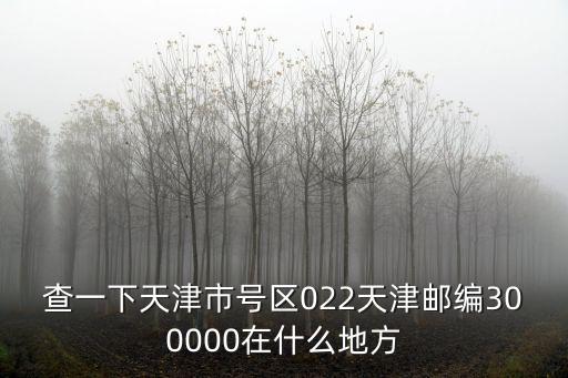 查一下天津市號區(qū)022天津郵編300000在什么地方