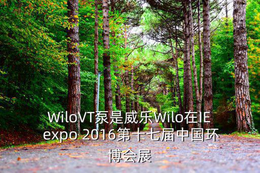 中國環(huán)博會(huì)，威樂Wilo參加IE expo 2016中國環(huán)博會(huì)的場地有多大