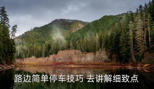 路邊停車技巧，路邊簡單停車技巧 去講解細致點
