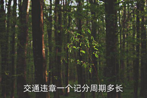 記分周期，駕駛證計(jì)分周期如何確定
