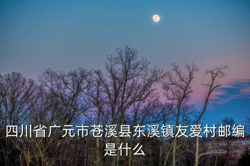 四川省廣元市蒼溪縣東溪鎮友愛村郵編是什么