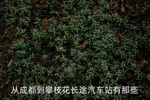 從成都到攀枝花長途汽車站有那些