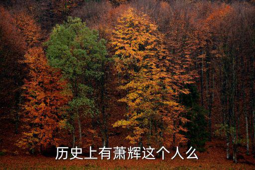 歷史上有蕭輝這個人么