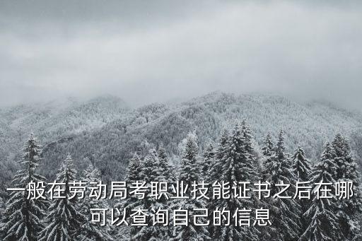 一般在勞動局考職業技能證書之后在哪可以查詢自己的信息