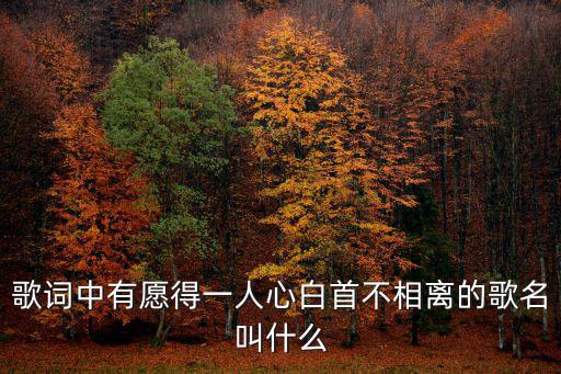 只愿得一人心歌詞，歌詞中有愿得一人心白首不相離的歌名叫什么