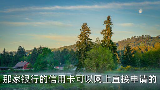 信用卡在線申請(qǐng)，那家銀行的信用卡可以網(wǎng)上直接申請(qǐng)的