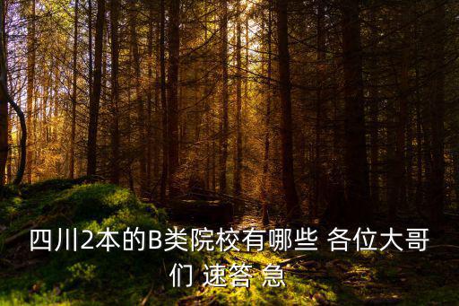 四川2本的B類院校有哪些 各位大哥們 速答 急