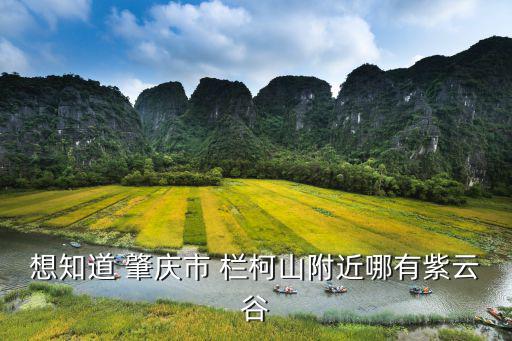 肇慶紫云谷，誰知道自己去肇慶紫云谷