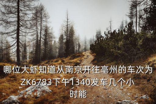 哪位大蝦知道從南京開往亳州的車次為ZK6783下午1340發(fā)車幾個小時能