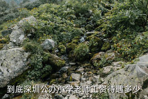 到底深圳公辦小學老師工資待遇多少